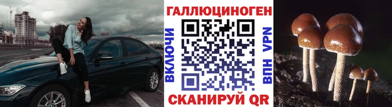 Галлюциногенные грибы мицелий MEGA ССЫЛКА Топки где найти